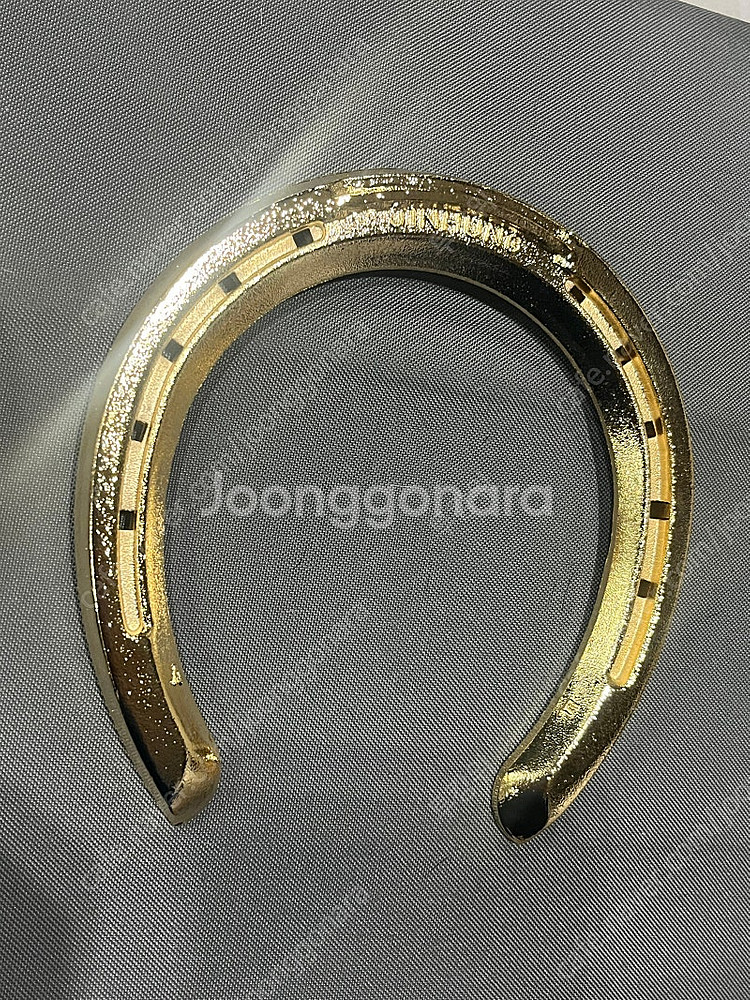 행운의 순금 경주마 말편자 재물운 금전운--1