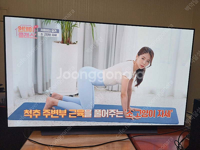 65인치 oled tv 65c1qnb(티비녹화)--0