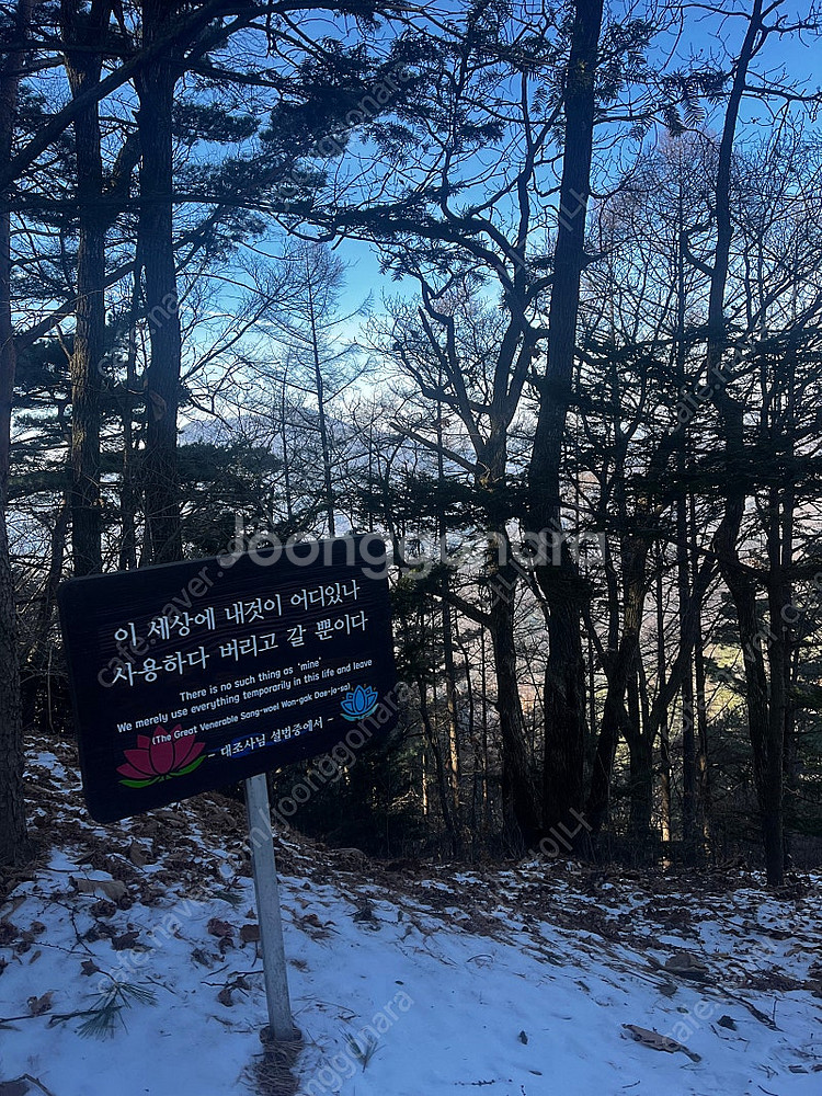 메가박스 영화예매 특별관 제외--0