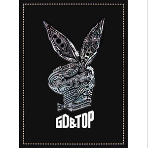 (구함) 빅뱅 지드래곤 탑 지디앤탑 gd&top 앨범 cd 구합니다