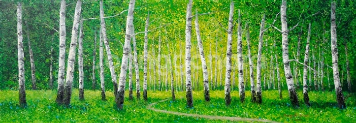 박상호 화백- 자작나무숲(40호)/출품작/보증서--1