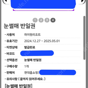 하이원스카이1340 곤도라 왕복 이용권 4장