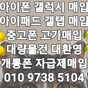 <매입> 아이폰16 프로 맥스 15 프로 맥스 폴드6 폴드5 플립6 플립5 S23 S24 플러스 울트라 아이패드 갤럭시탭 애플워치 중고폰매입 박스폰매입 개통폰매입 미납연체폰매입!