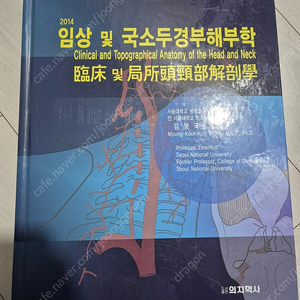 임상 및 국소두경부 해부학