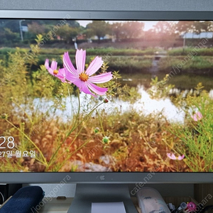 애플 cinema hd display 23인치 모니터 판매 합니다