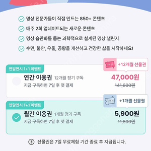 마보 1년 이용권