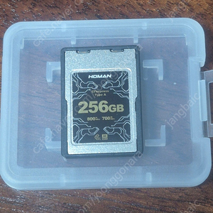 CF-Express 256GB type A