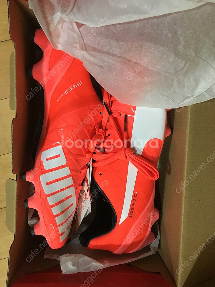 축구화 풋살화 푸마 에보스피드 evospeed 2종 판...--0