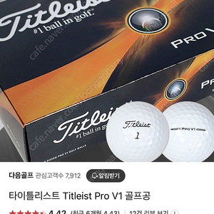 타이틀리스트 골프공 pro v1