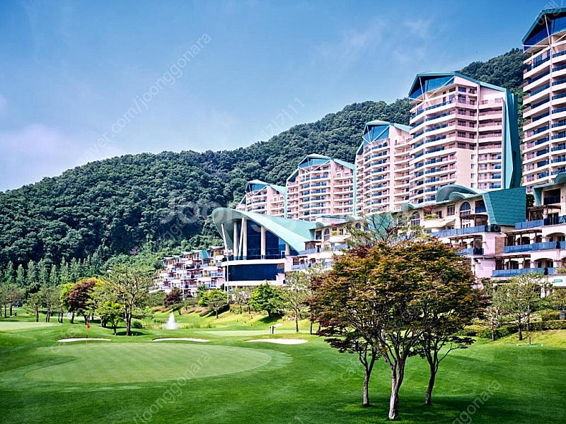 (오늘 가실분) 델피노/천안/변산/삼척 쏠비치 특가~--0