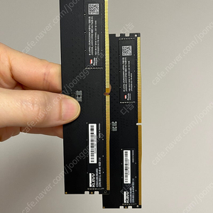 에센코어 klevv ddr5 5600 32g (16*2)