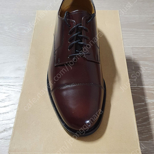 [새제품] Cole Haan 콜한 Caldwell Lace-Up Derby Shoe / Burgundy / US 9EE & US 9.5D