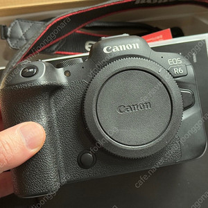 Canon R6 미러리스 판매합니다