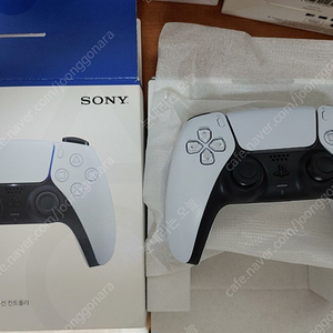 ps5 듀얼센스