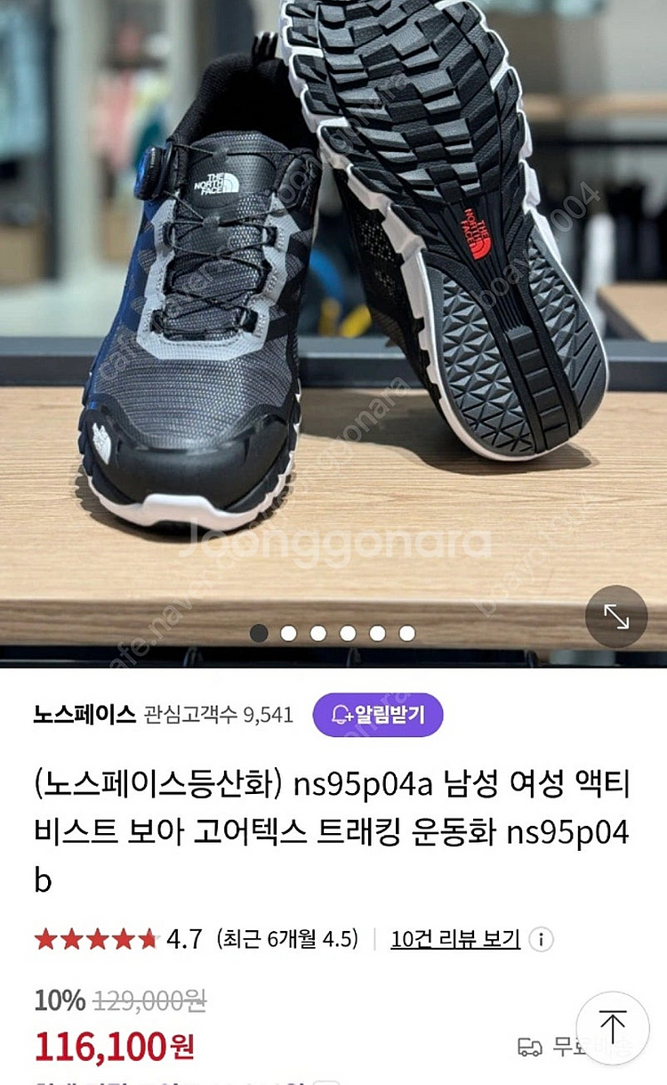 노스페이스 고어텍스 트레킹화--0