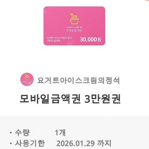 요아정 3만원권