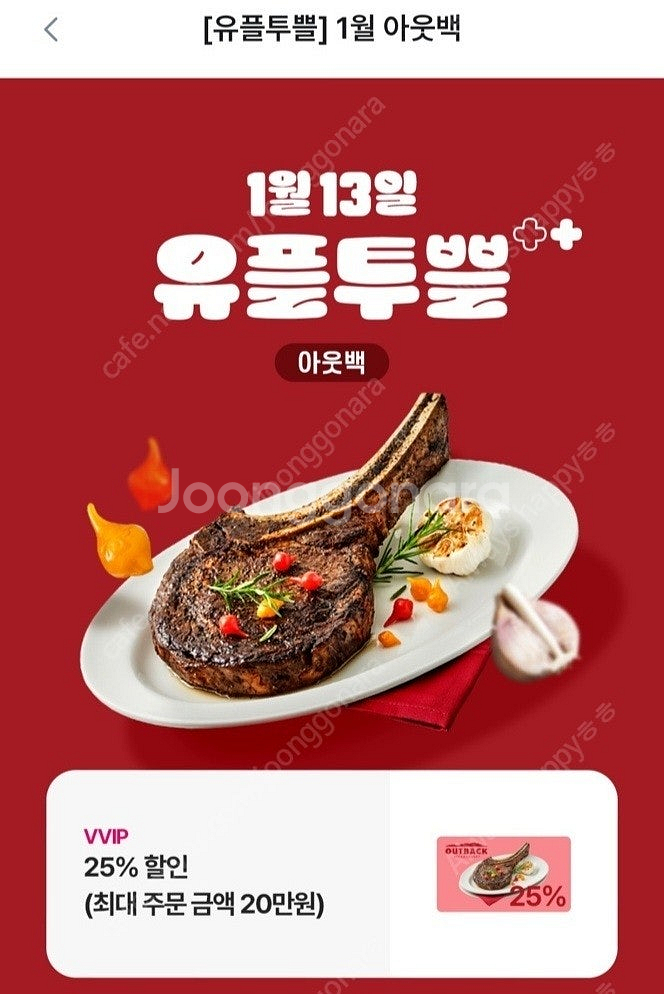 아웃백 25% vvip (1/31까지)--0