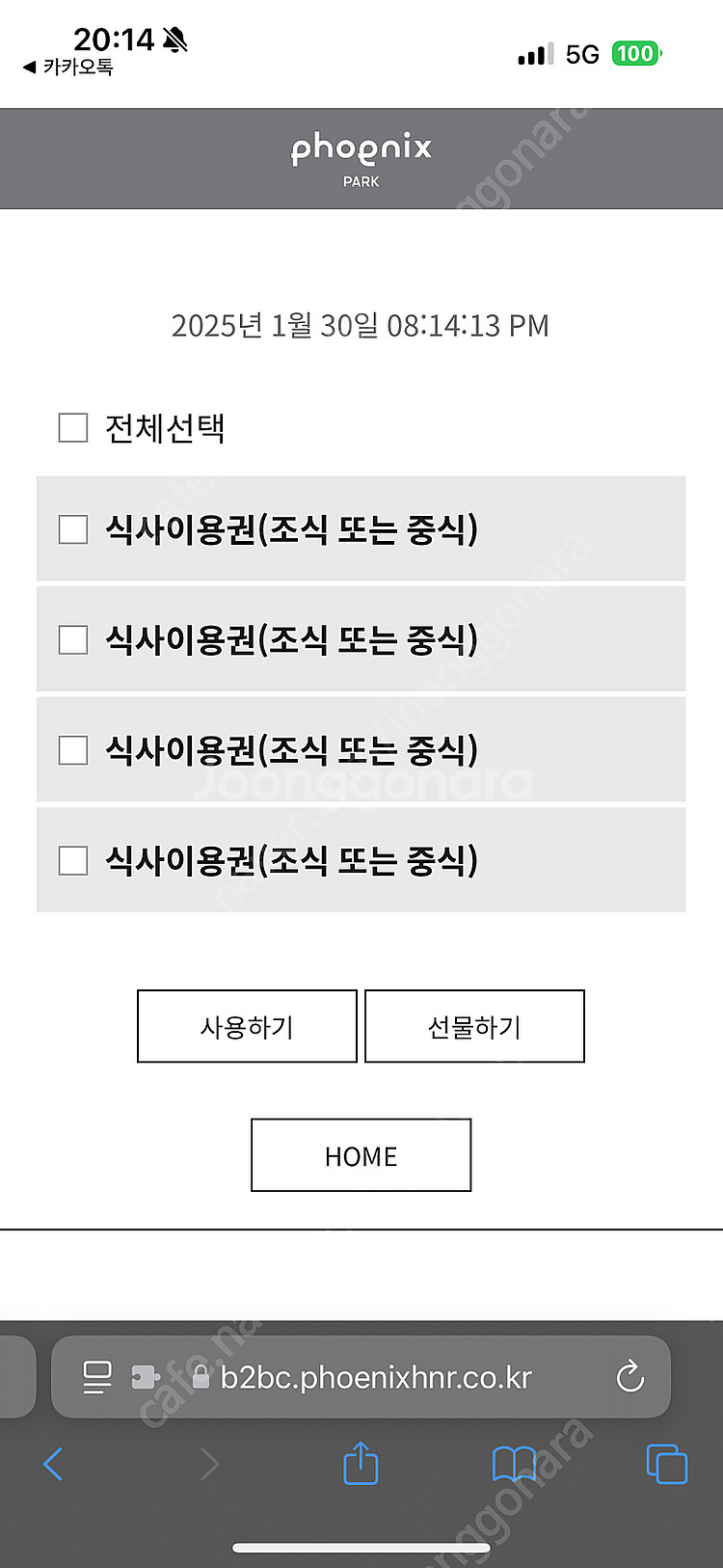 휘닉스파크 조식/중식 식사, 관광 곤돌라, 블루캐니언 ...--1