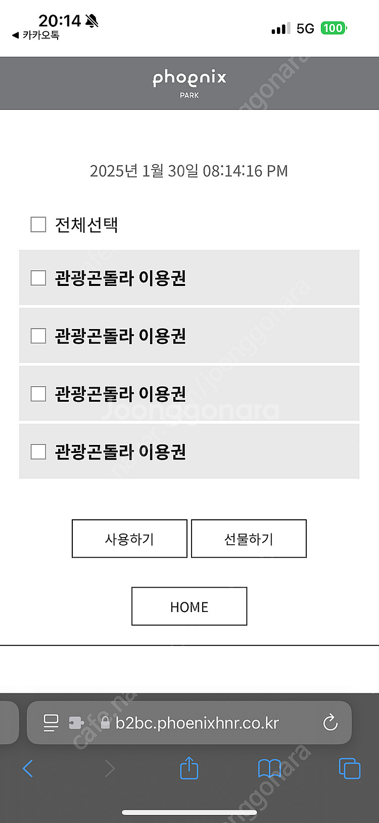 휘닉스파크 조식/중식 식사, 관광 곤돌라, 블루캐니언 ...--2