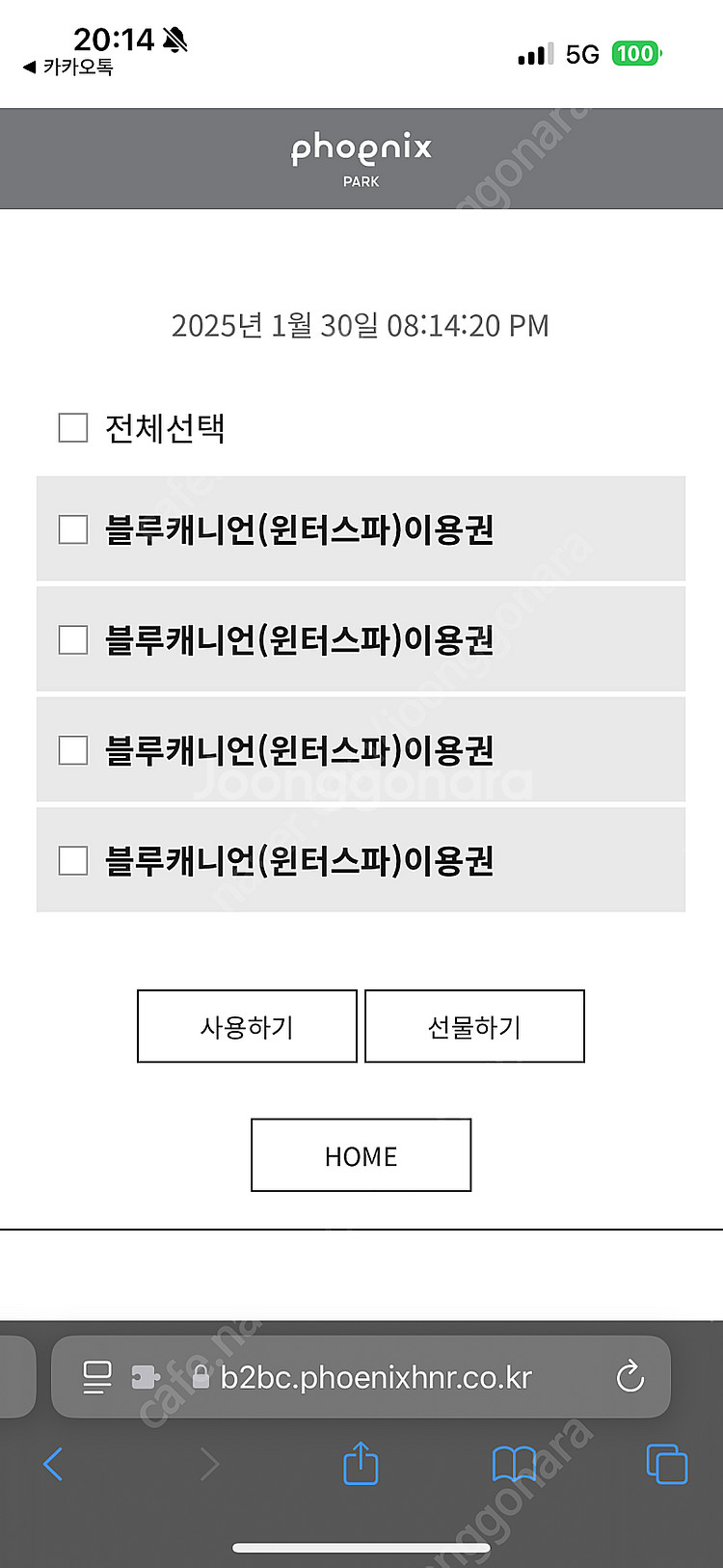 휘닉스파크 조식/중식 식사, 관광 곤돌라, 블루캐니언 ...--3