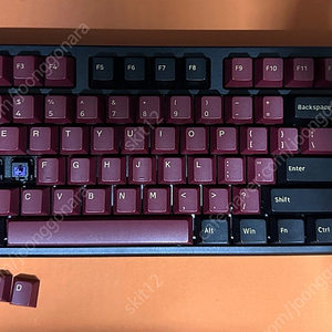 FROG TKL 상구리 VENOM VENOM MX 8K 체리 퍼플축