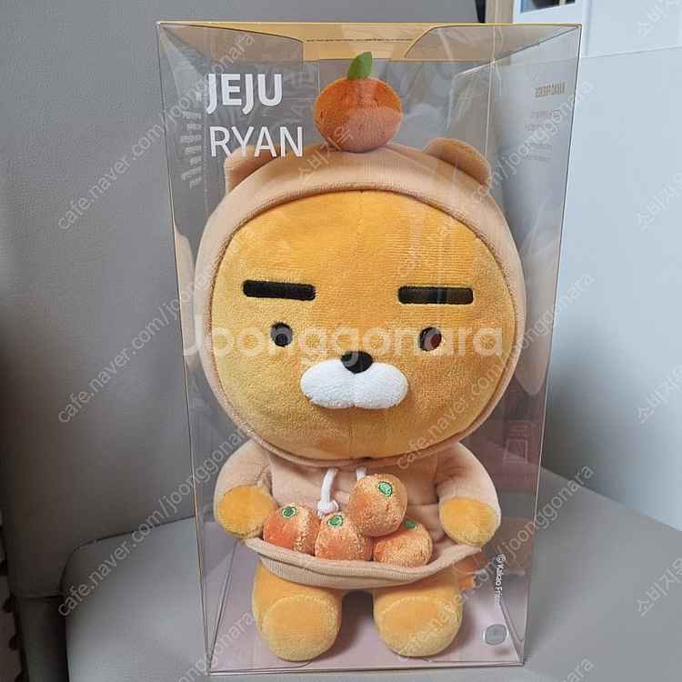 제주 감귤 라이언--0