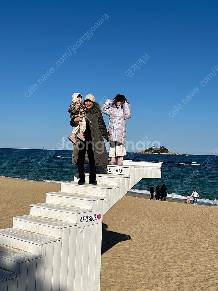 스토케 하네스--0