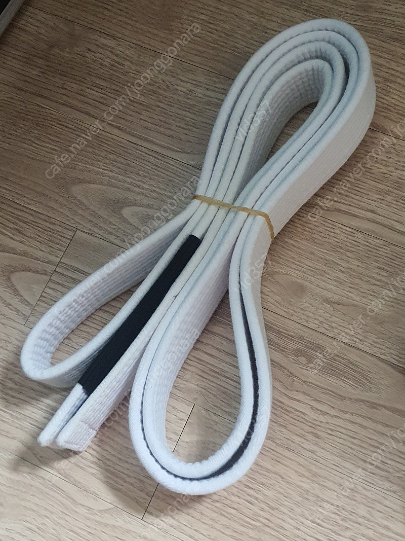주짓수 화이트 벨트