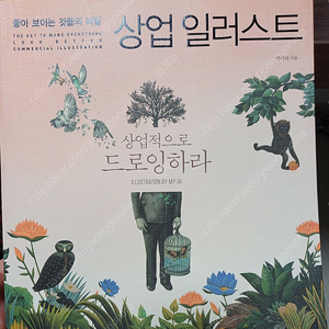 상업일러스트