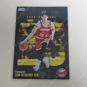 KBL 카드 홀로 골드 SK 김형빈