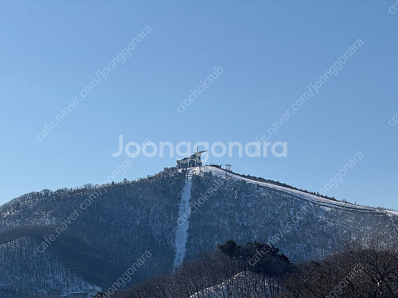 용평리조트 빌라콘도 41평 1/31 2박 양도합니다.--0