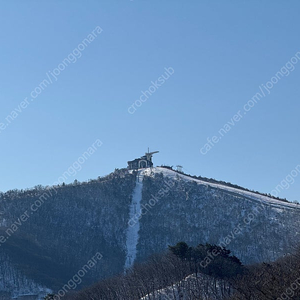 용평리조트 빌라콘도 41평 1/31 2박 양도합니다.