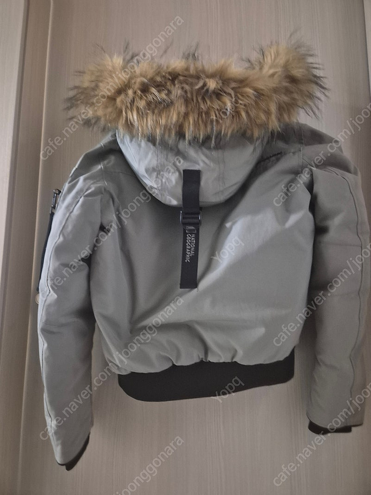 네셔널 지오그래픽 숏패딩 여성 XS (44사이즈) 이미지