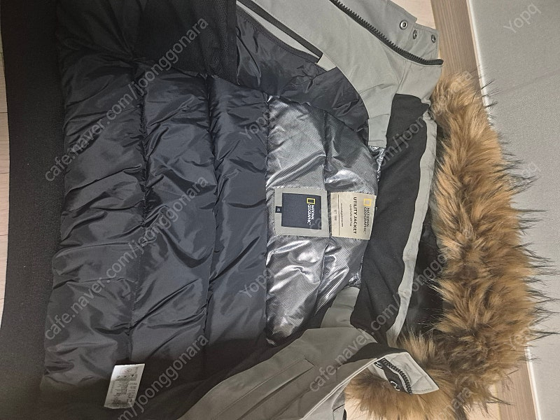 네셔널 지오그래픽 숏패딩 여성 XS (44사이즈) 이미지