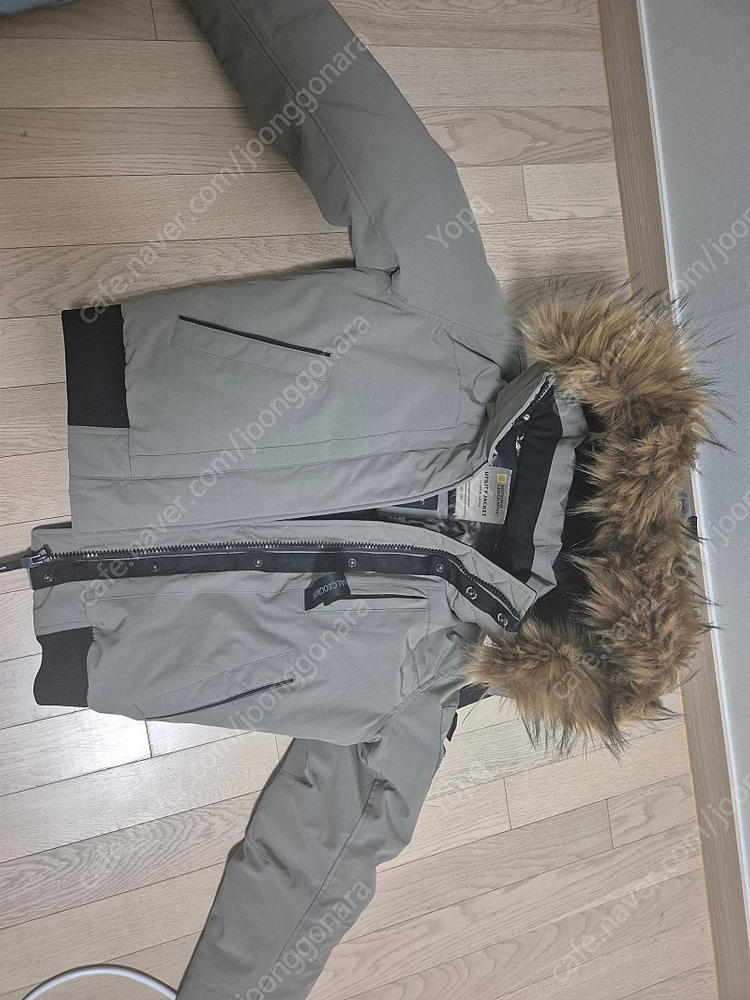 네셔널 지오그래픽 숏패딩 여성 XS (44사이즈) 이미지