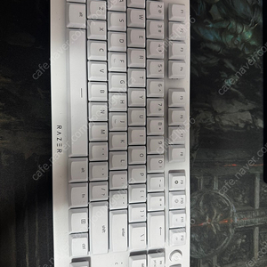 레이저 데스스토커v2 pro tkl 화이트