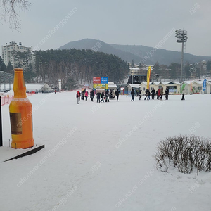 버튼 홈타운 히어로 160 삽니다