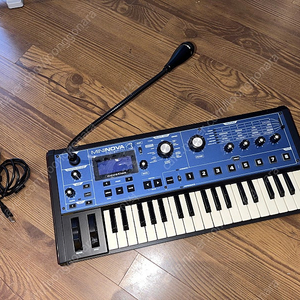 Novation Mininova 노베이션 미니노바 신디사이저 판매