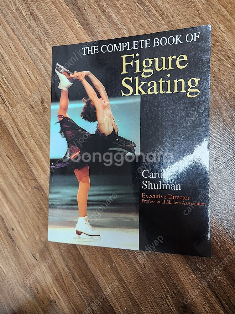 The complete book of figure sk...--0
