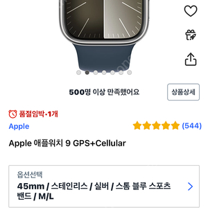 애플워치9 GPS+Cellular 45mm 스테인리스