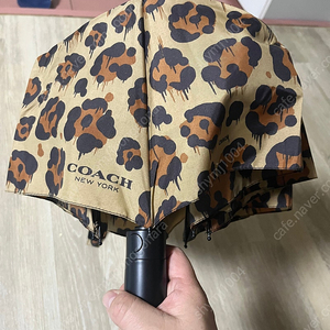 Coach 레오파드 자동 우산