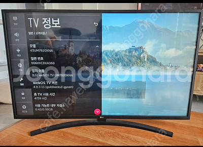 [LG] 43인치 TV판매합니다--2