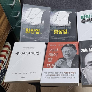 우파도서 일베 국민의힘 갤러리 필독서 요덕스토리 정성산 친필사인본 반일종족주의 소설황장엽 태영호 3층서기실의 암호 굿바이이재명 거부해야할미래 남자인권운동가성재기 변희재의 청춘투쟁