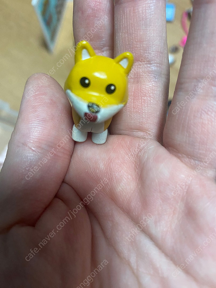 입양하세요 레고프렌즈 고양이 미용 자동차 일괄 이미지