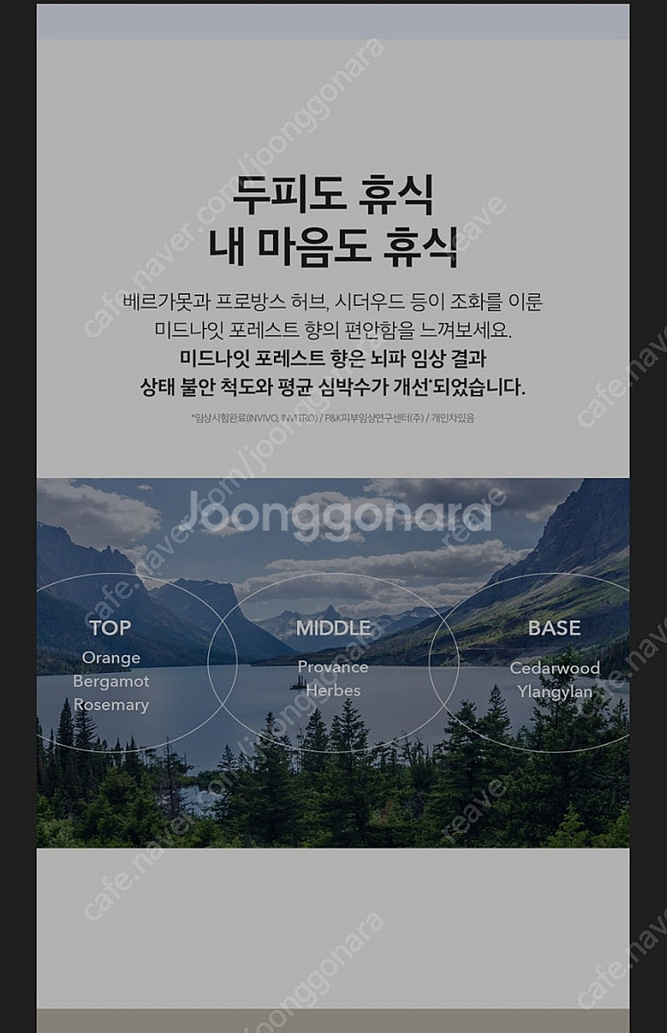 (탈모케어) 트리셀 나이트 퍼펙터 100ml--1