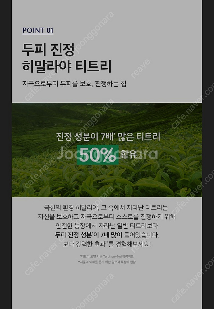 (탈모케어) 트리셀 나이트 퍼펙터 100ml--6