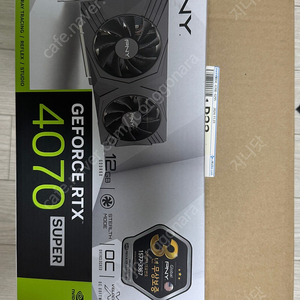 PNY GForce RTX 4070 SUPER 12GB VERTO OC 팝니다