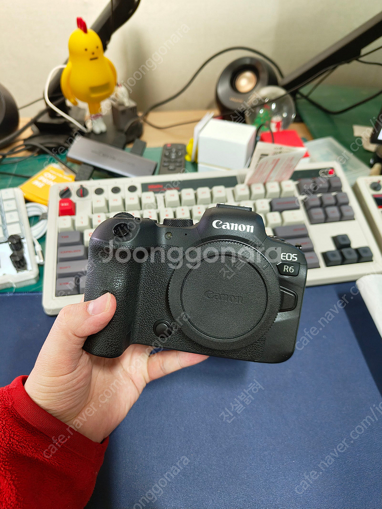 캐논 canon eos r6 알육--2