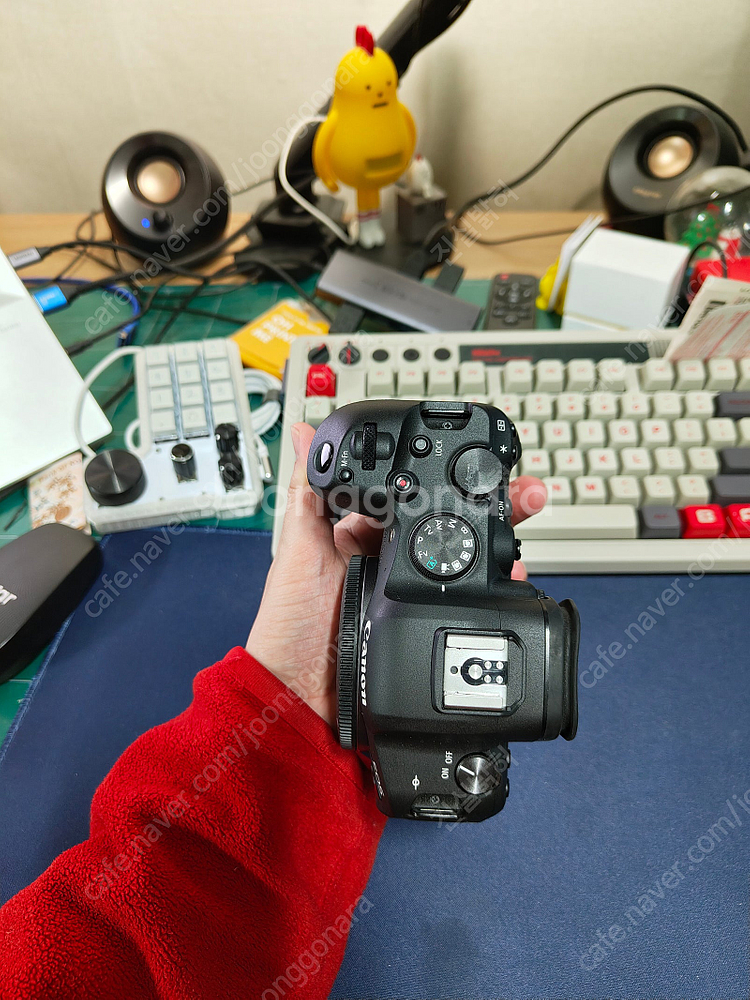 캐논 canon eos r6 알육--5