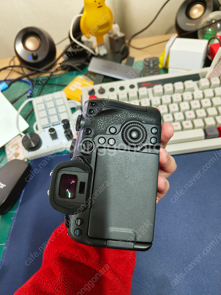 캐논 canon eos r6 알육--6